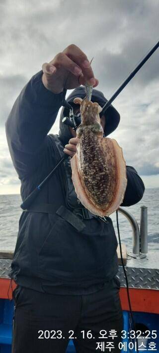 21년신조선22인승제주에이스호16일갑오징어조황입니다 (조황조행기 - 바다선상조황)