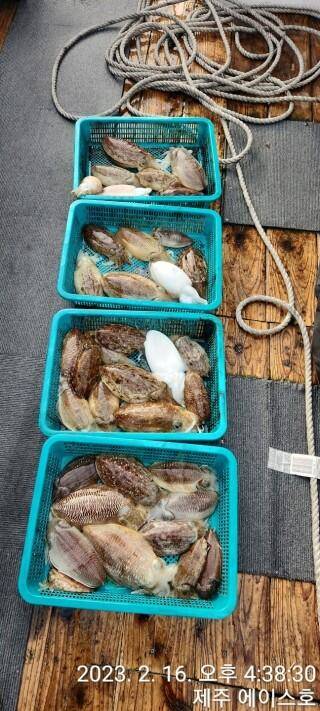 21년신조선22인승제주에이스호16일갑오징어조황입니다 (조황조행기 - 바다선상조황)