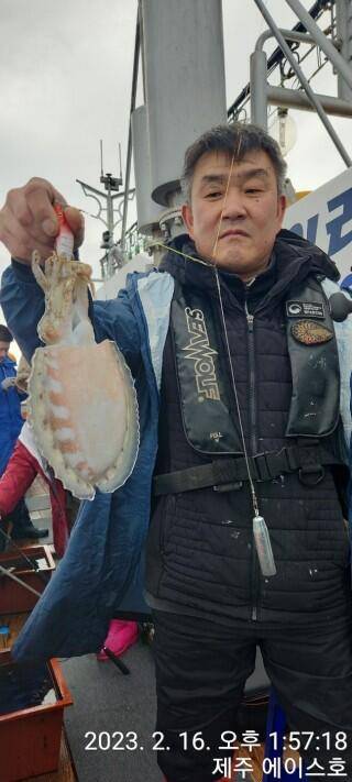 21년신조선22인승제주에이스호16일갑오징어조황입니다 (조황조행기 - 바다선상조황)