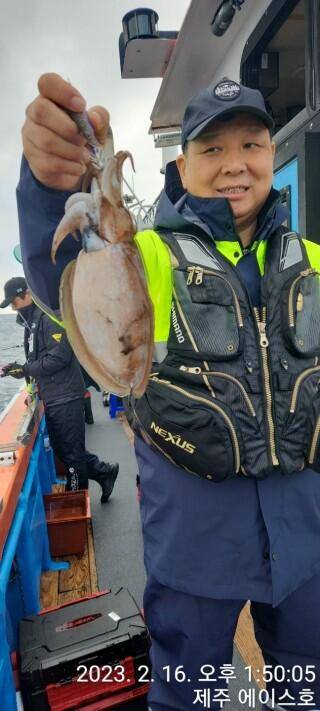 21년신조선22인승제주에이스호16일갑오징어조황입니다 (조황조행기 - 바다선상조황)