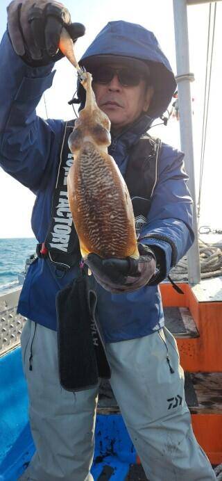 21년신조선22인승제주에이스호4일갑오징어조황입니다 (조황조행기 - 바다선상조황)