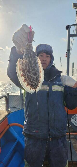 21년신조선22인승제주에이스호4일갑오징어조황입니다 (조황조행기 - 바다선상조황)