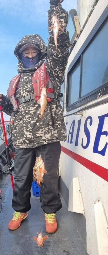 20일 07시 외줄낚시 볼락열기 씨알 좋고 마릿수좋습니다 (조황조행기 - 바다선상조황)