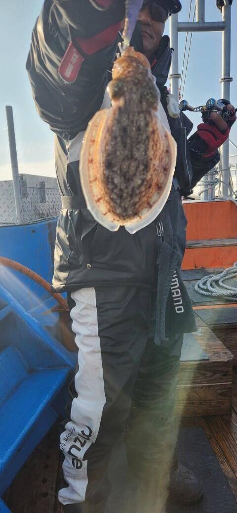 21년 신조선22인승제주에이스호16석운영7일갑오징어조황입니다 (조황조행기 - 바다선상조황)
