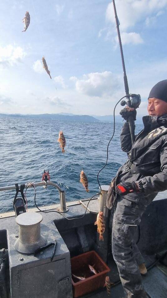 20일 07시 외줄낚시 볼락열기 씨알 좋고 마릿수좋습니다 (조황조행기 - 바다선상조황)