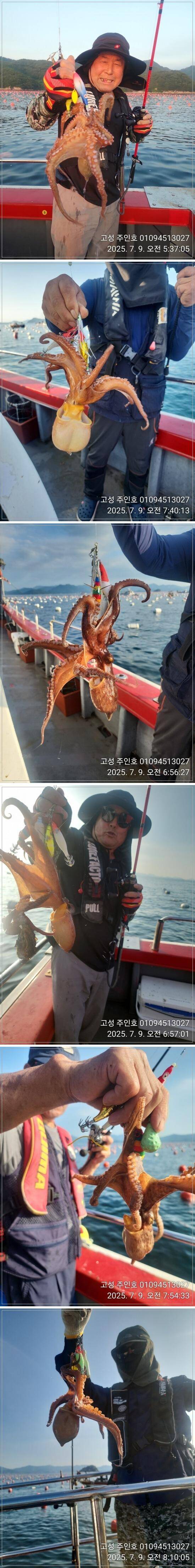 고성 주인호주인호 9일 사량도 돌문어 전투낚시 세자리수조황 (조황조행기 - 바다선상조황)