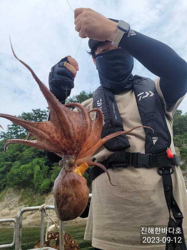 진해문어낚시 오늘도 활성도좋게 올라타는 돌문어 전원 찐한 손맛보시며 즐기고 왔습니다0 (조황조행기 - 바다선상조황)