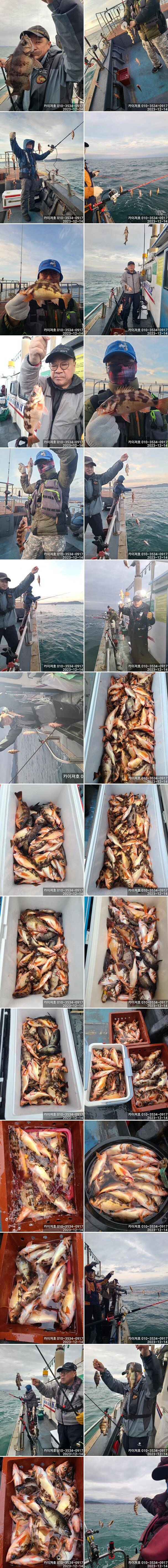 18일오후12시 1타10피 의 줄줄이 열기볼락 손맛 보러 오세요 (조황조행기 - 바다선상조황)