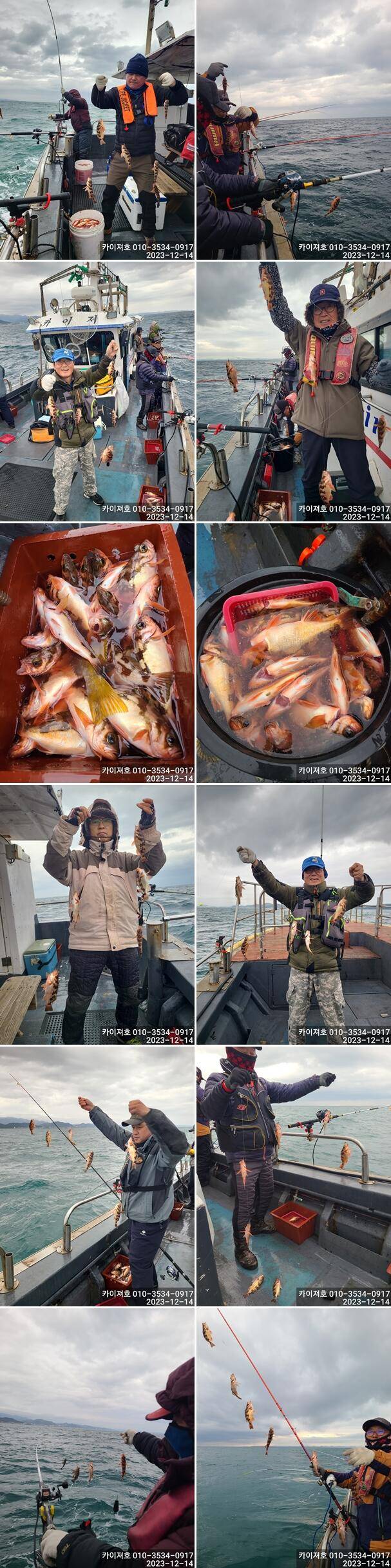 18일오후12시 1타10피 의 줄줄이 열기볼락 손맛 보러 오세요 (조황조행기 - 바다선상조황)