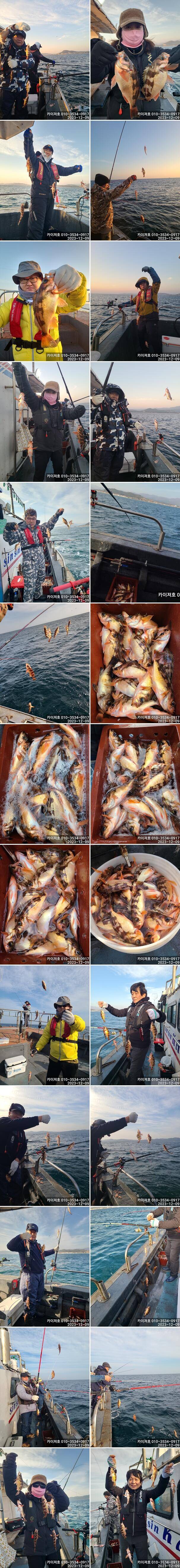 18일오후12시 1타10피 의 줄줄이 열기볼락 손맛 보러 오세요 (조황조행기 - 바다선상조황)