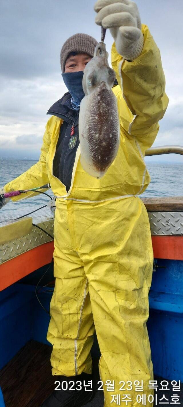 21년신조선22인승제주에이스호23일갑오징어조황입니다 (조황조행기 - 바다선상조황)