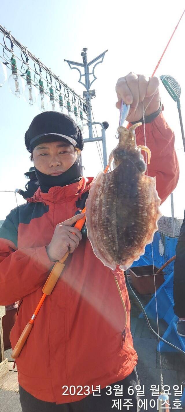6일제주에이스호갑오징어조황입니다01035483472 (조황조행기 - 바다선상조황)