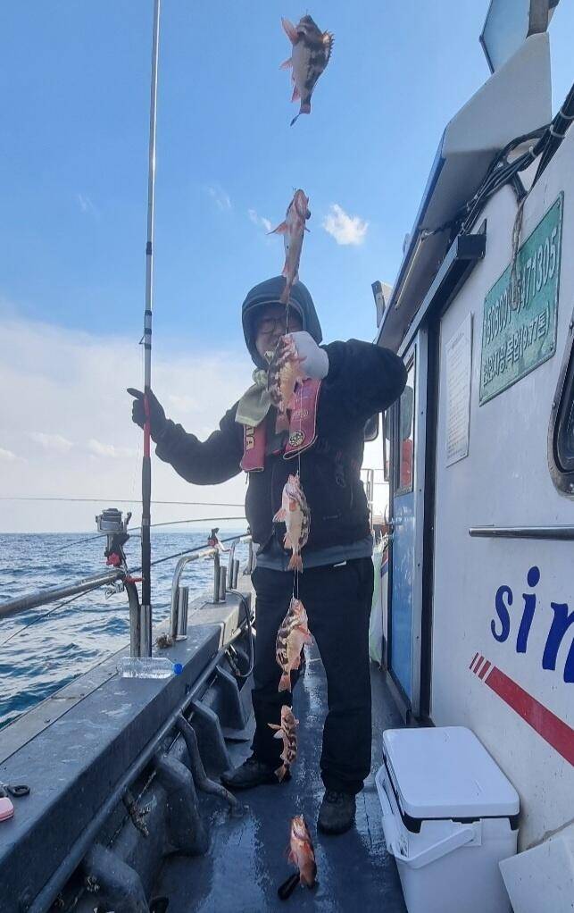 20일 07시 외줄낚시 볼락열기 씨알 좋고 마릿수좋습니다 (조황조행기 - 바다선상조황)