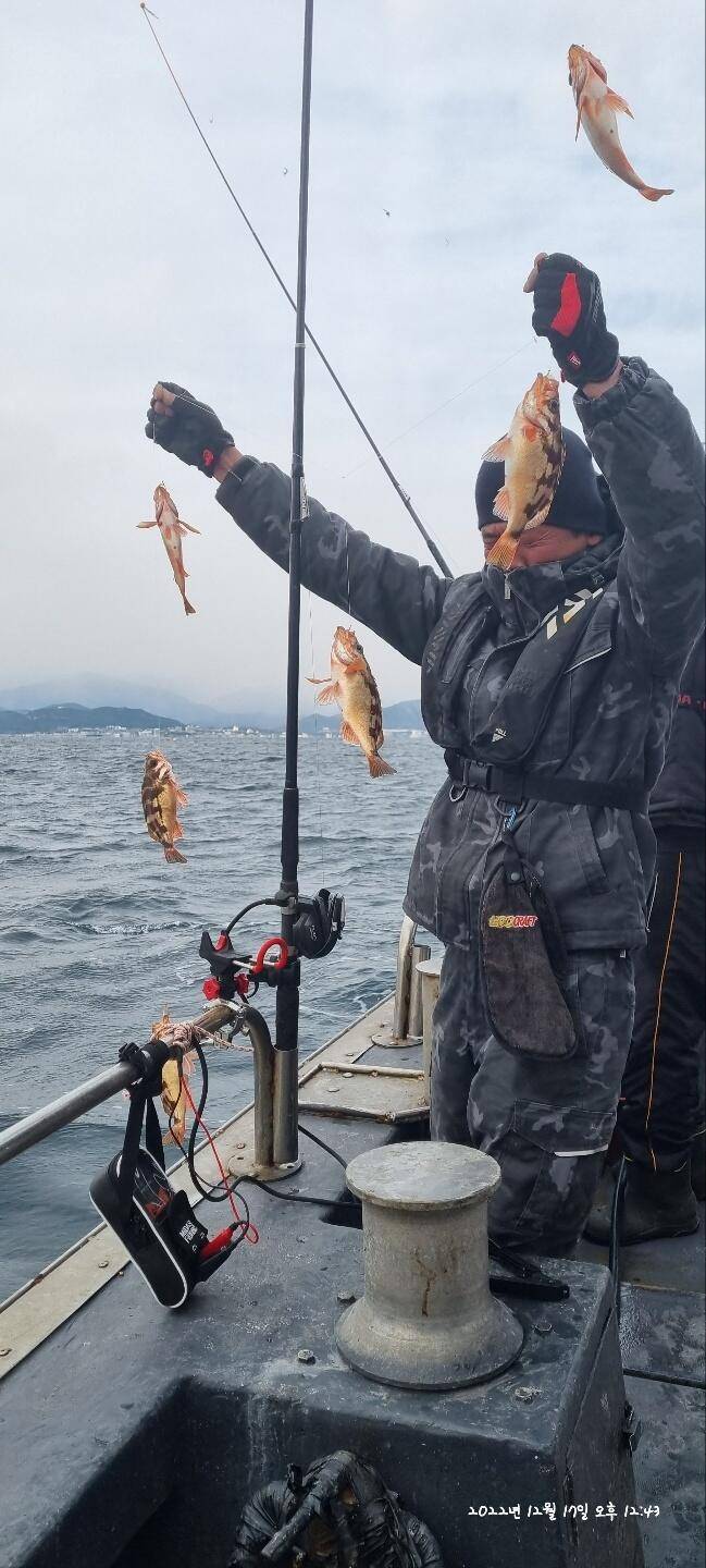 20일 07시 외줄낚시 볼락열기 씨알 좋고 마릿수좋습니다 (조황조행기 - 바다선상조황)