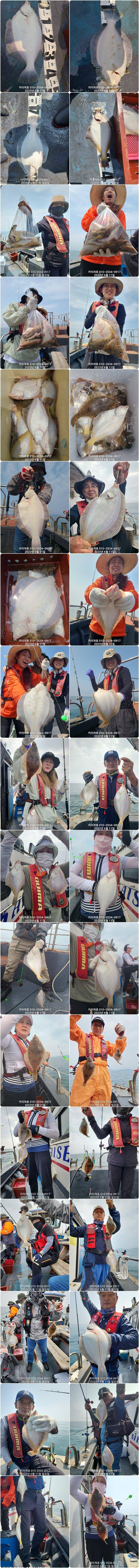 11일 카이져호 종합 조황 말이 필요 없어요 (조황조행기 - 바다선상조황)