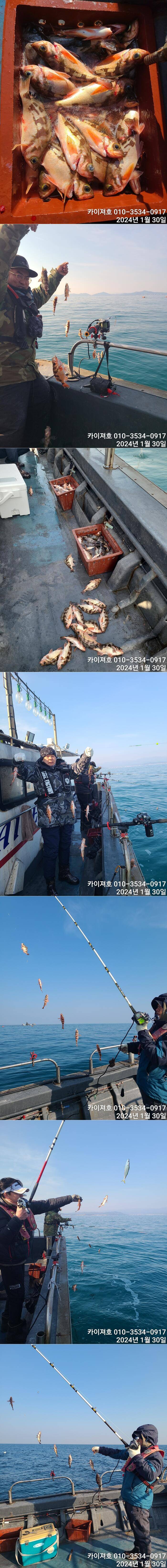 조업 아님 전원만쿨 초대박 타작 (조황조행기 - 바다선상조황)