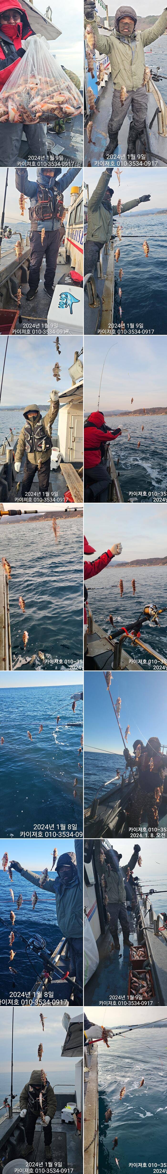 볼락 열기 강구권 출항 금요일 오전 여유자리운동장 (조황조행기 - 바다선상조황)