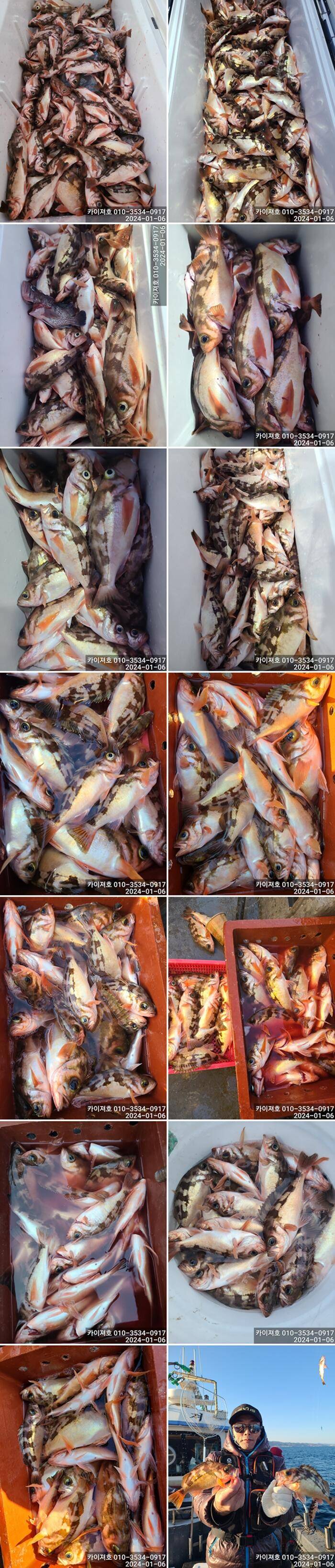6일 오전오후 모두다 대박 조황 입니다 (조황조행기 - 바다선상조황)