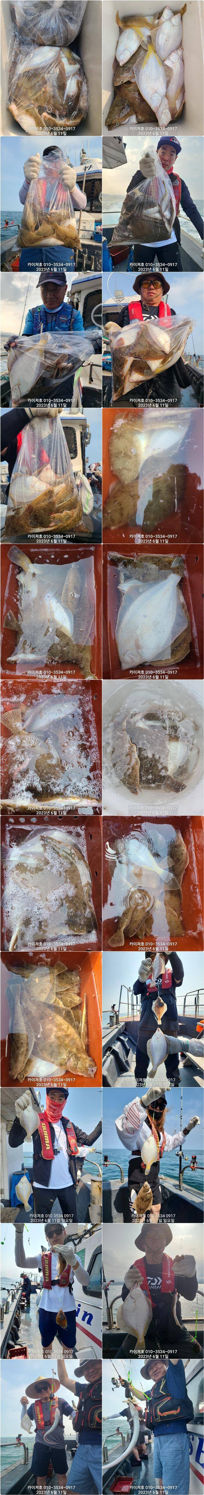 11일 카이져호 종합 조황 말이 필요 없어요 (조황조행기 - 바다선상조황)