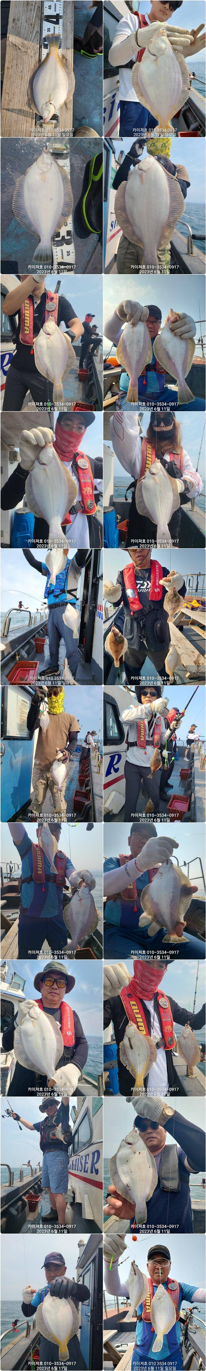 11일 카이져호 종합 조황 말이 필요 없어요 (조황조행기 - 바다선상조황)