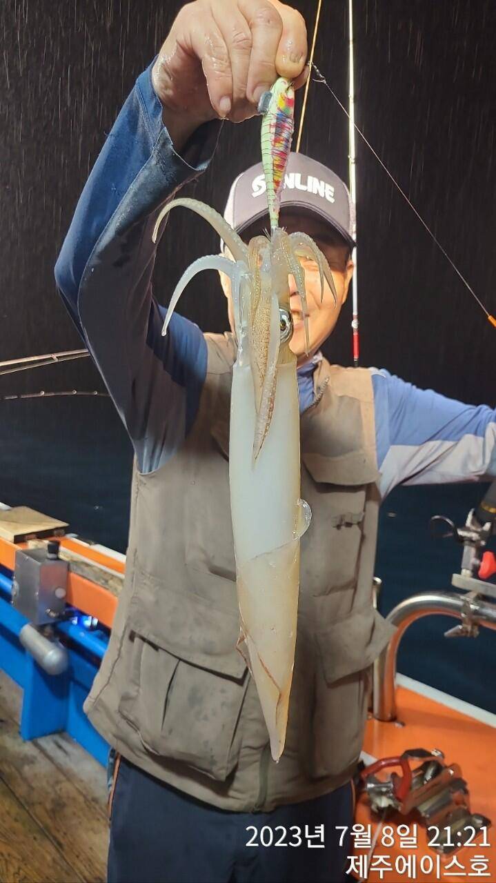제주에이스호8일한치조황입니다 (조황조행기 - 바다선상조황)