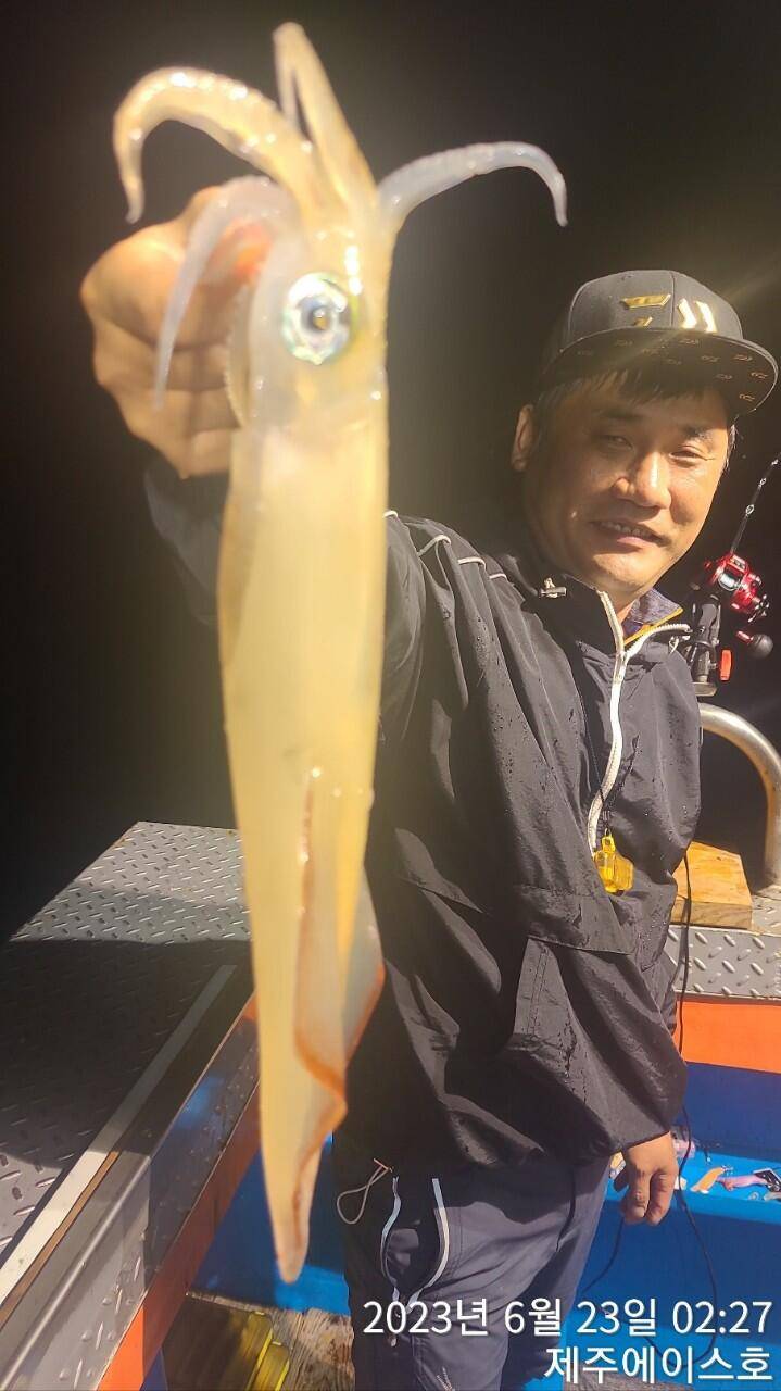 제주에이스호22일 굿 한치 조황입니다 (조황조행기 - 바다선상조황)