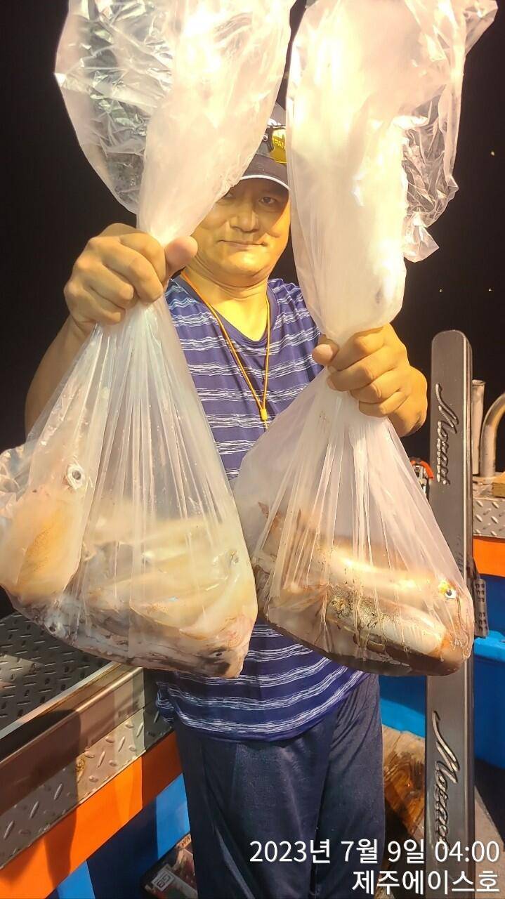 제주에이스호8일한치조황입니다 (조황조행기 - 바다선상조황)