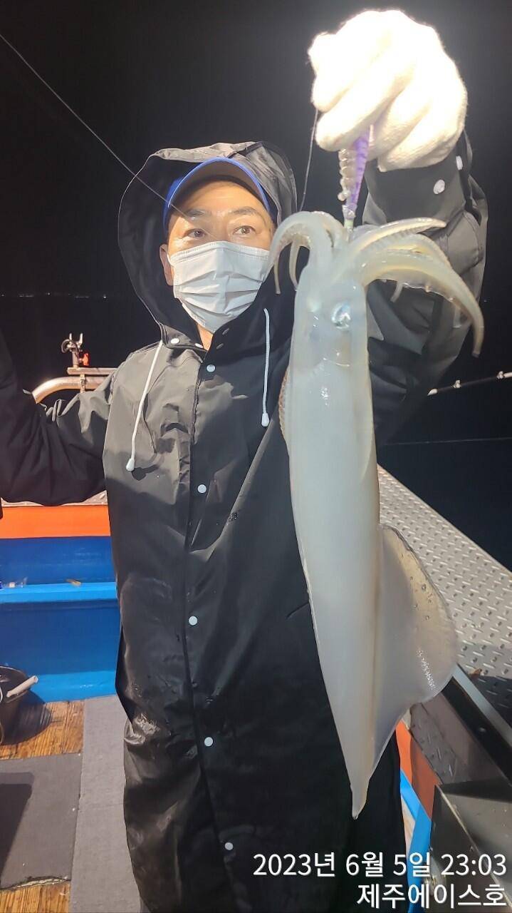 제주에이스호5일대갈치 조황입니다 전좌석봉돌투승기무료이용 (조황조행기 - 바다선상조황)
