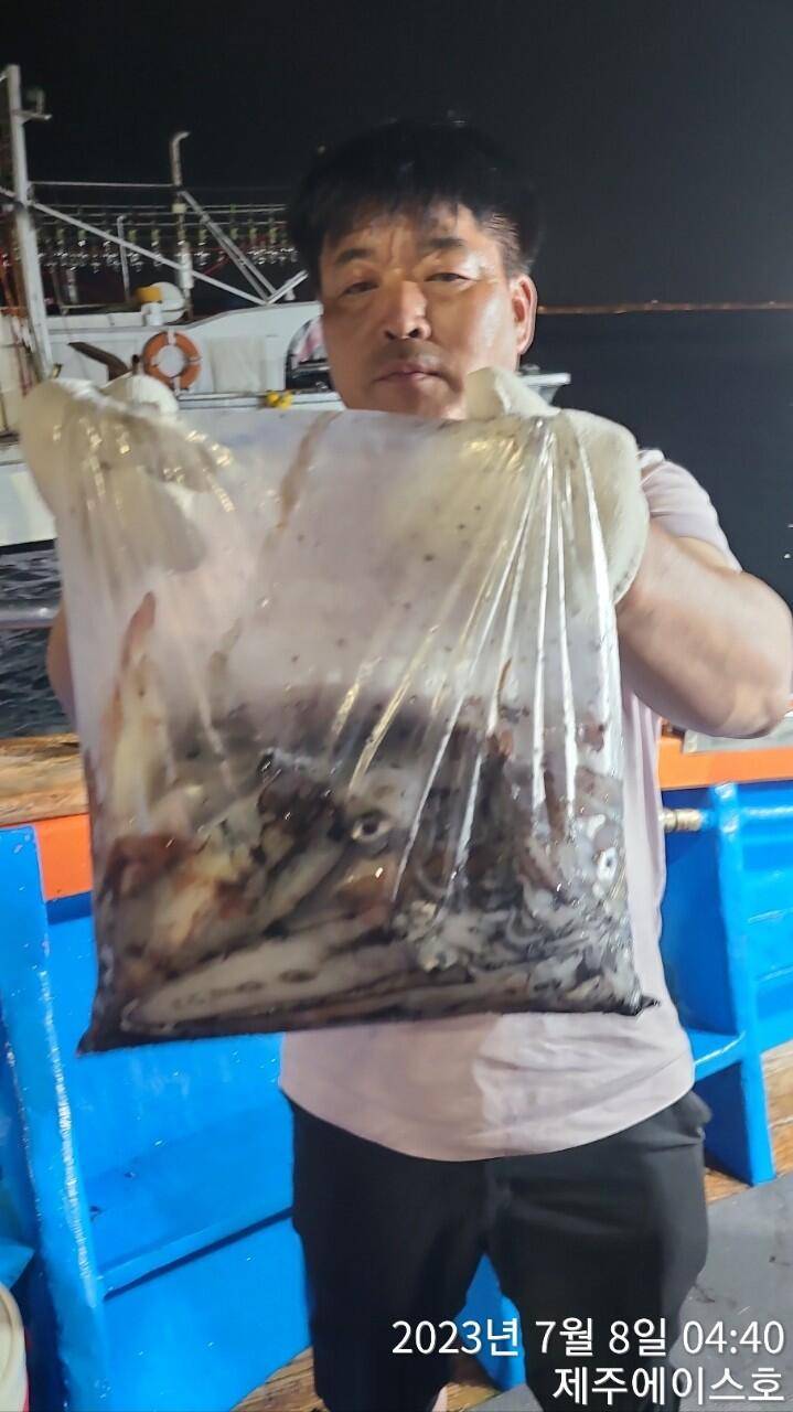 제주에이스호7월7일 한치조황입니다 (조황조행기 - 바다선상조황)