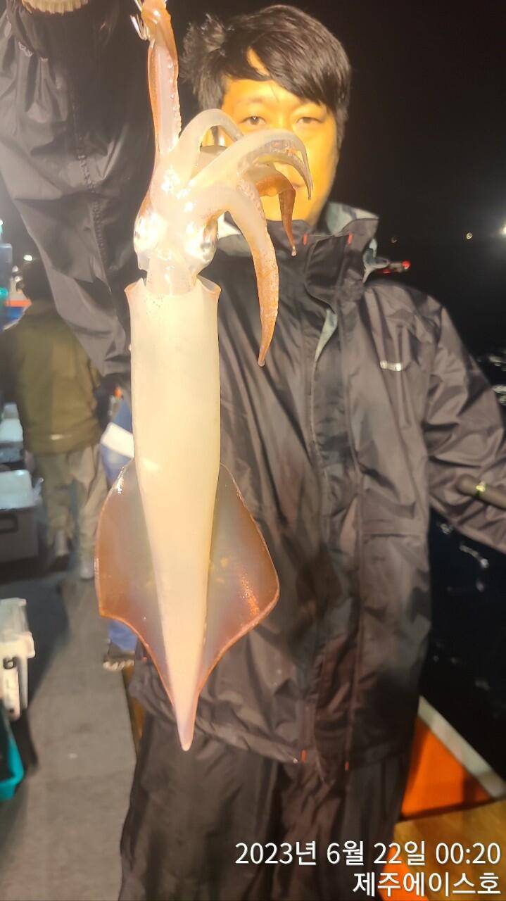 제주에이스호21일 한치 한치 조황입니다 (조황조행기 - 바다선상조황)