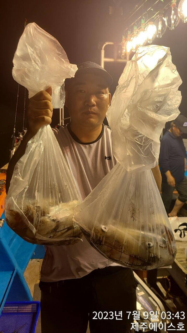 제주에이스호8일한치조황입니다 (조황조행기 - 바다선상조황)