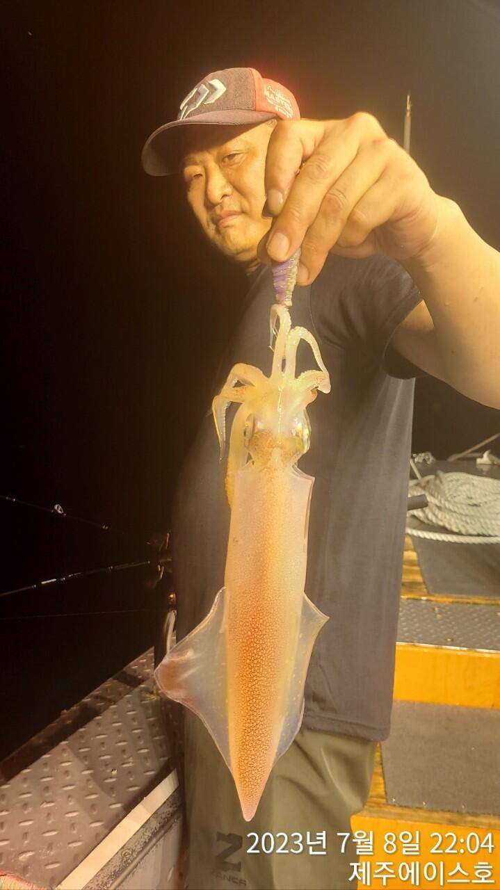 제주에이스호8일한치조황입니다 (조황조행기 - 바다선상조황)