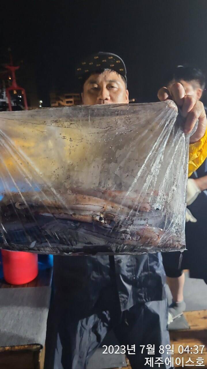 제주에이스호7월7일 한치조황입니다 (조황조행기 - 바다선상조황)