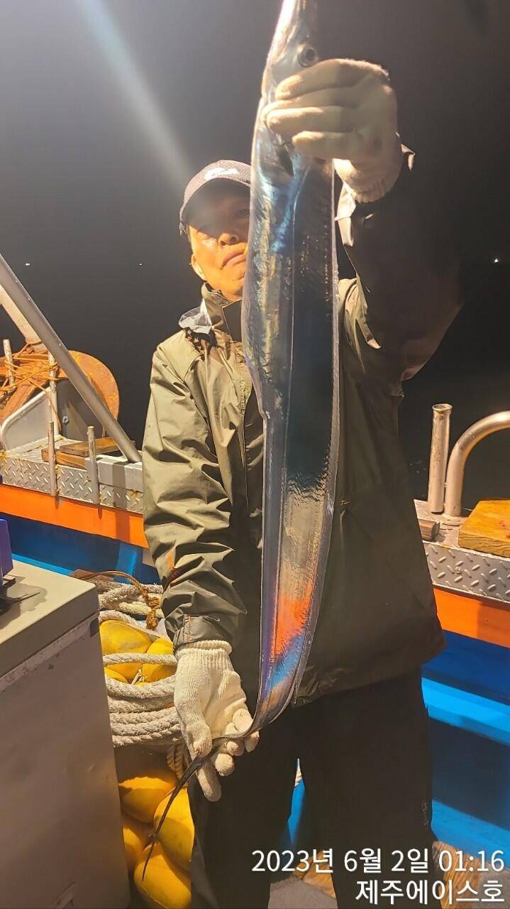 제주에이스호6월1일기분좋은대갈치조황입니다전좌석 봉돌투승기장착무료이용 (조황조행기 - 바다선상조황)