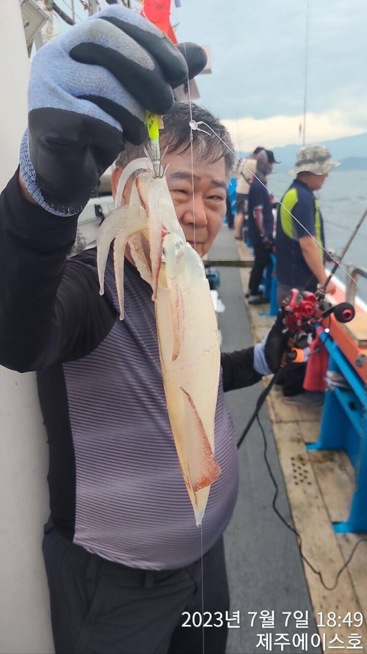 제주에이스호7월7일 한치조황입니다 (조황조행기 - 바다선상조황)