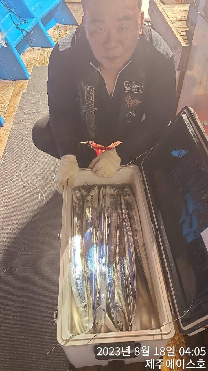 제주에이스호17일갈치조황입니다전좌석봉돌투승기장착무료이용문의01035483472 (조황조행기 - 바다선상조황)