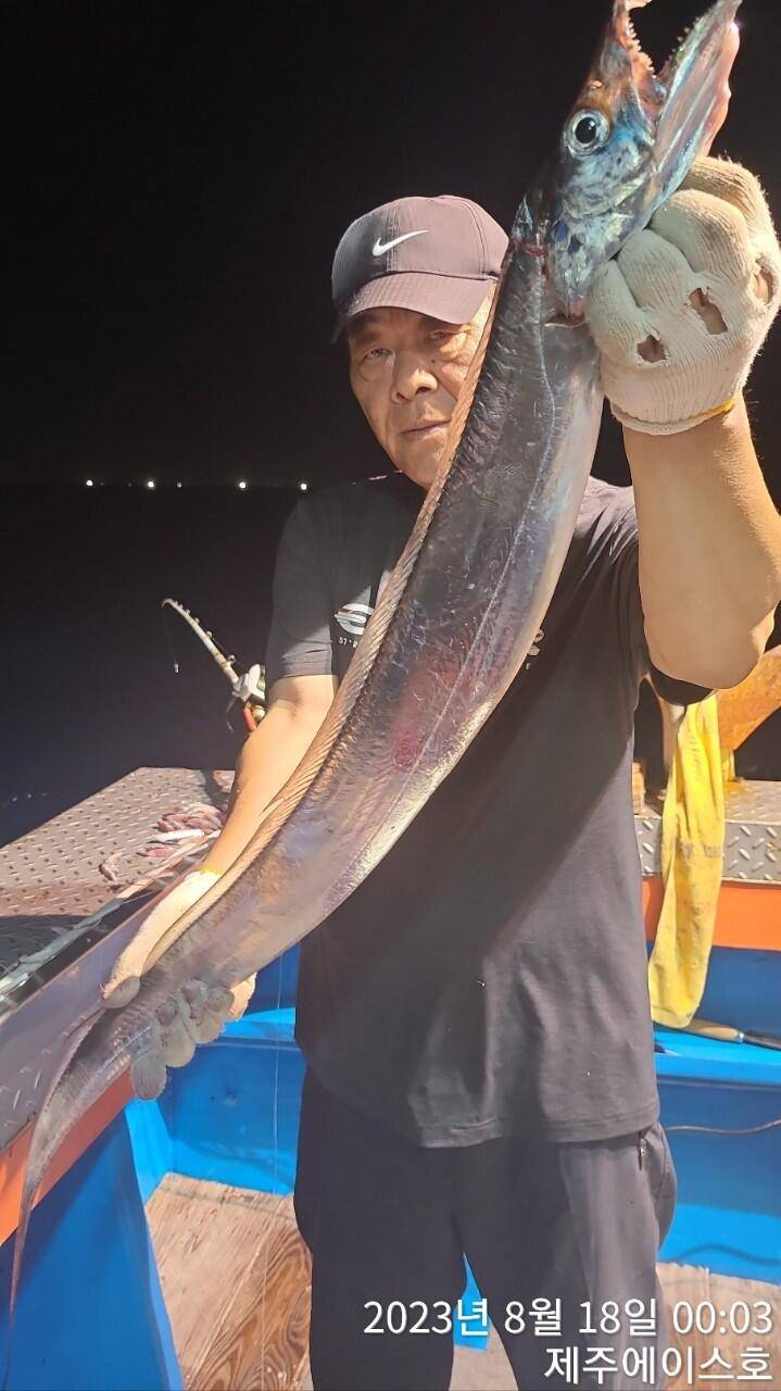 제주에이스호17일갈치조황입니다전좌석봉돌투승기장착무료이용문의01035483472 (조황조행기 - 바다선상조황)