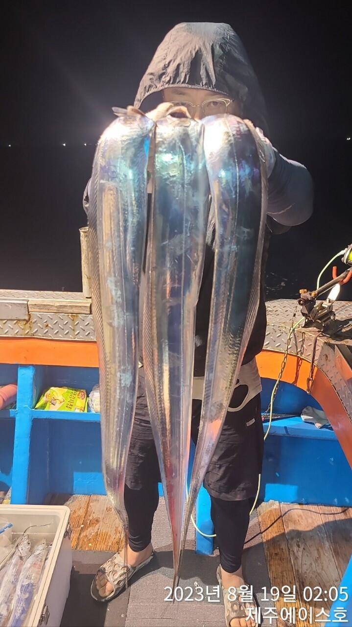 제주에이스호18일갈치조황입니다전좌석봉돌투승기장착무료이용문의01035483472 (조황조행기 - 바다선상조황)