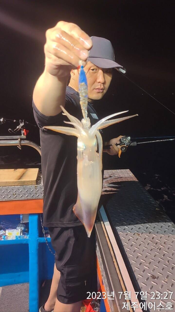 제주에이스호7월7일 한치조황입니다 (조황조행기 - 바다선상조황)