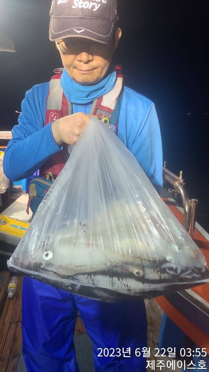 제주에이스호21일 한치 한치 조황입니다 (조황조행기 - 바다선상조황)
