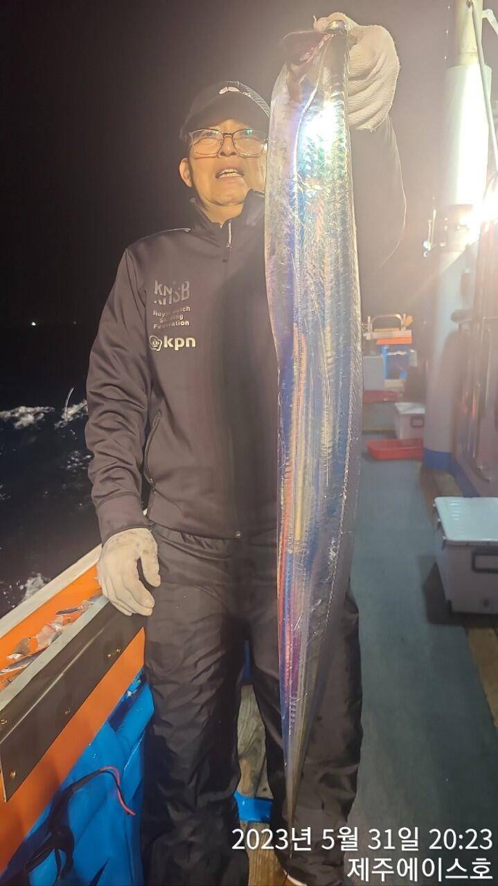 제주에이스호31일씨알 좋은 대갈치 조황입니다 (조황조행기 - 바다선상조황)