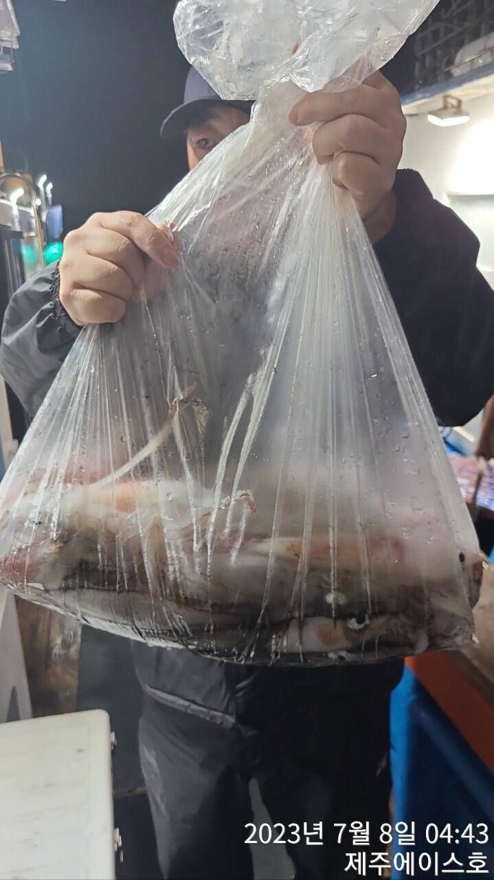 제주에이스호7월7일 한치조황입니다 (조황조행기 - 바다선상조황)