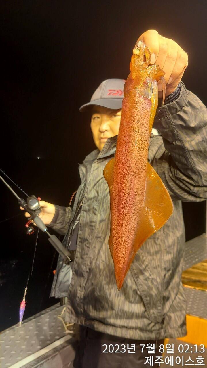 제주에이스호7월7일 한치조황입니다 (조황조행기 - 바다선상조황)