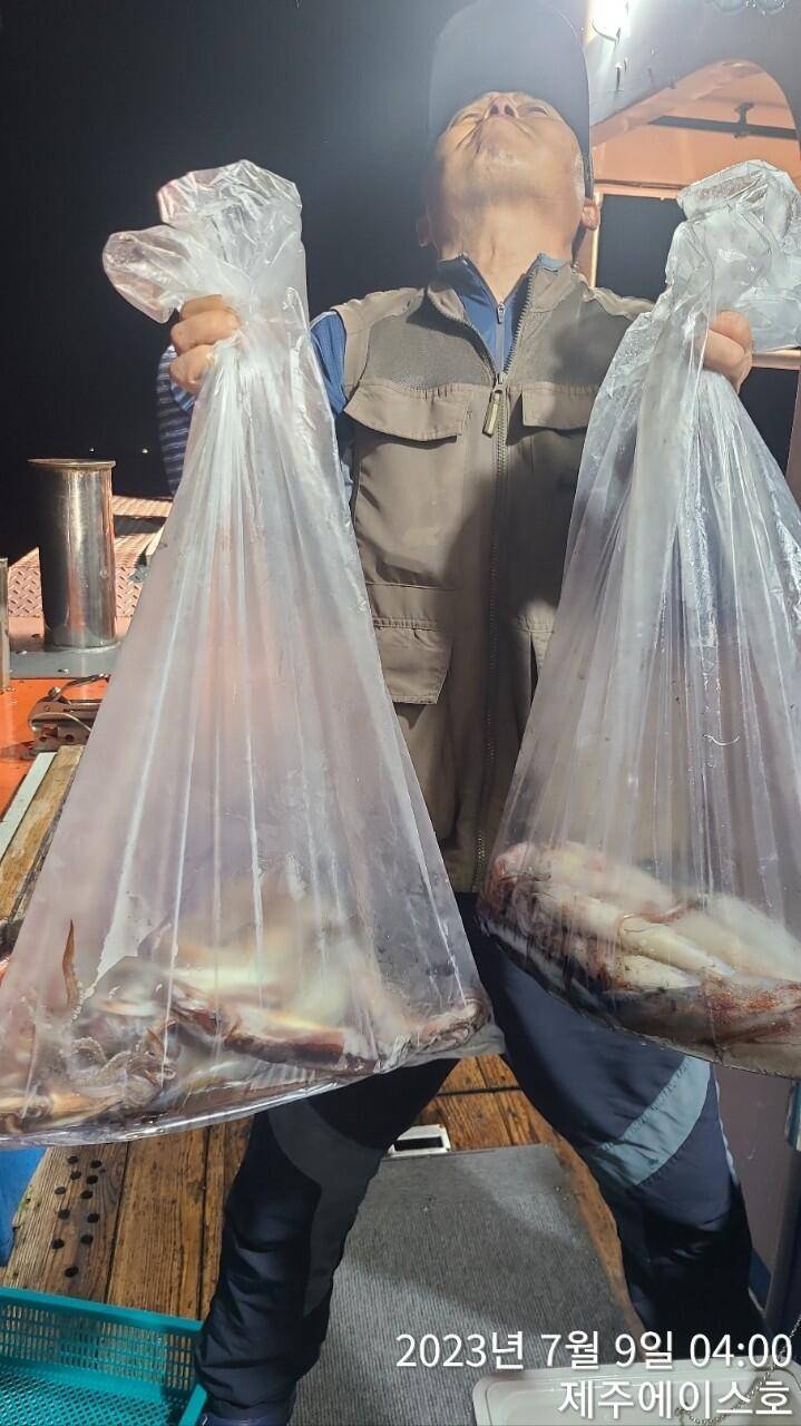 제주에이스호8일한치조황입니다 (조황조행기 - 바다선상조황)