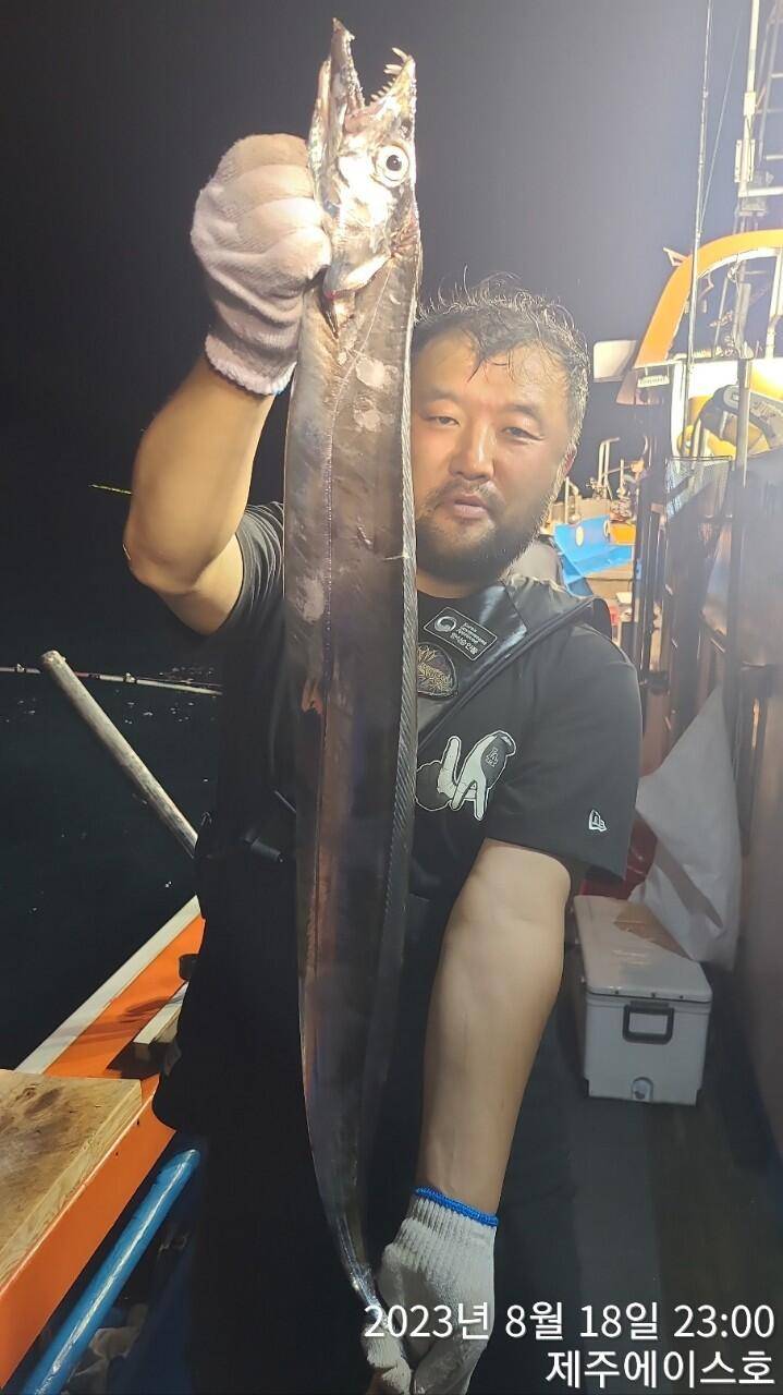 제주에이스호18일갈치조황입니다전좌석봉돌투승기장착무료이용문의01035483472 (조황조행기 - 바다선상조황)