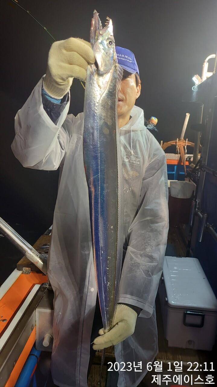 제주에이스호6월1일기분좋은대갈치조황입니다전좌석 봉돌투승기장착무료이용 (조황조행기 - 바다선상조황)