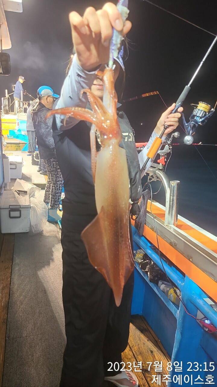 제주에이스호8일한치조황입니다 (조황조행기 - 바다선상조황)
