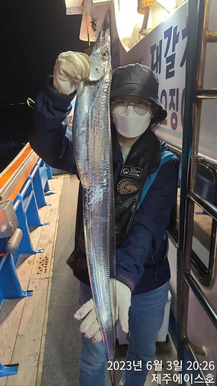 제주에이스호3일기분좋은대갈치조황입니다전좌석봉돌투승기장착무료이용 (조황조행기 - 바다선상조황)