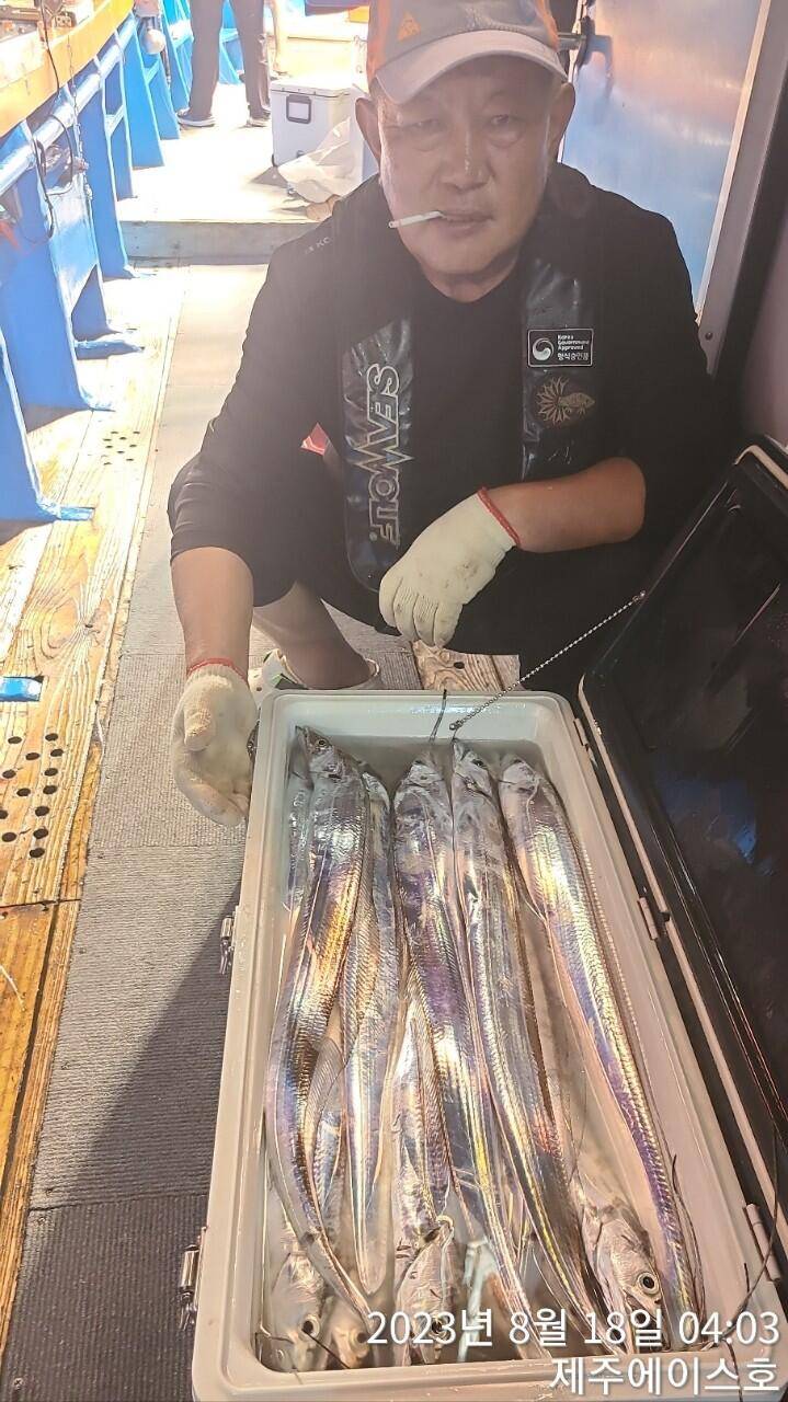 제주에이스호17일갈치조황입니다전좌석봉돌투승기장착무료이용문의01035483472 (조황조행기 - 바다선상조황)