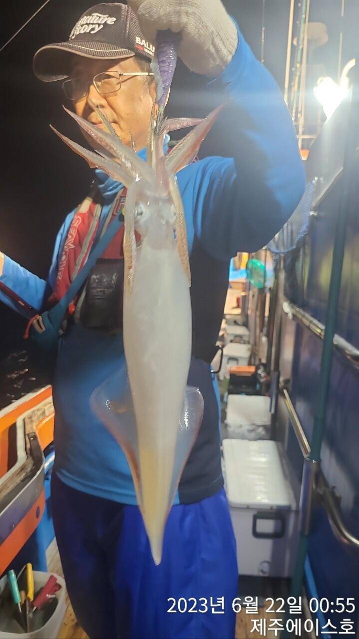 제주에이스호21일 한치 한치 조황입니다 (조황조행기 - 바다선상조황)